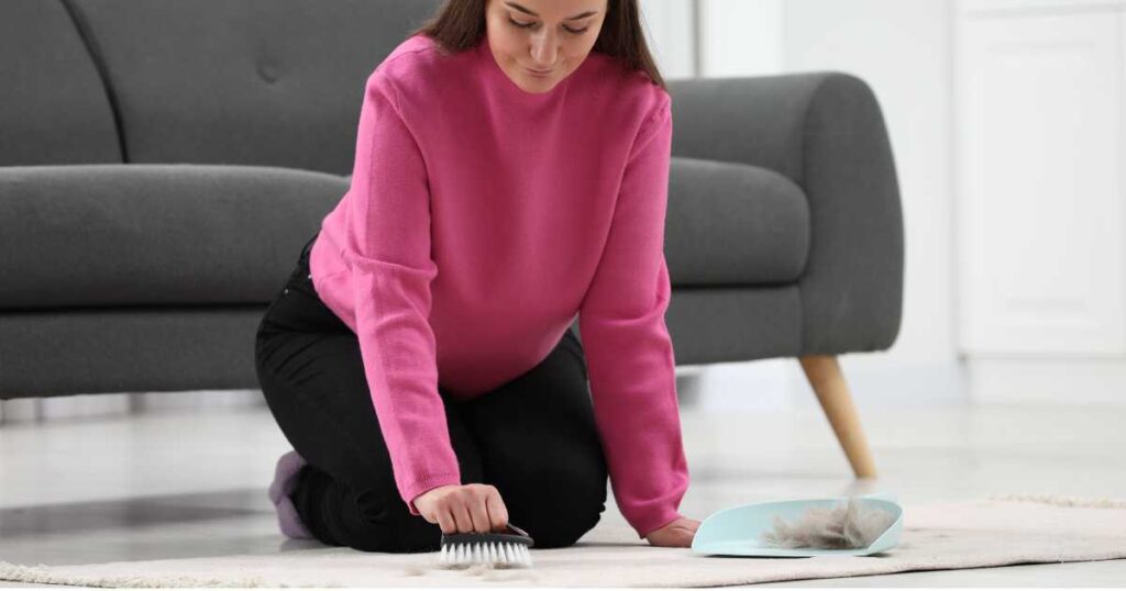 baking soda for pet odor