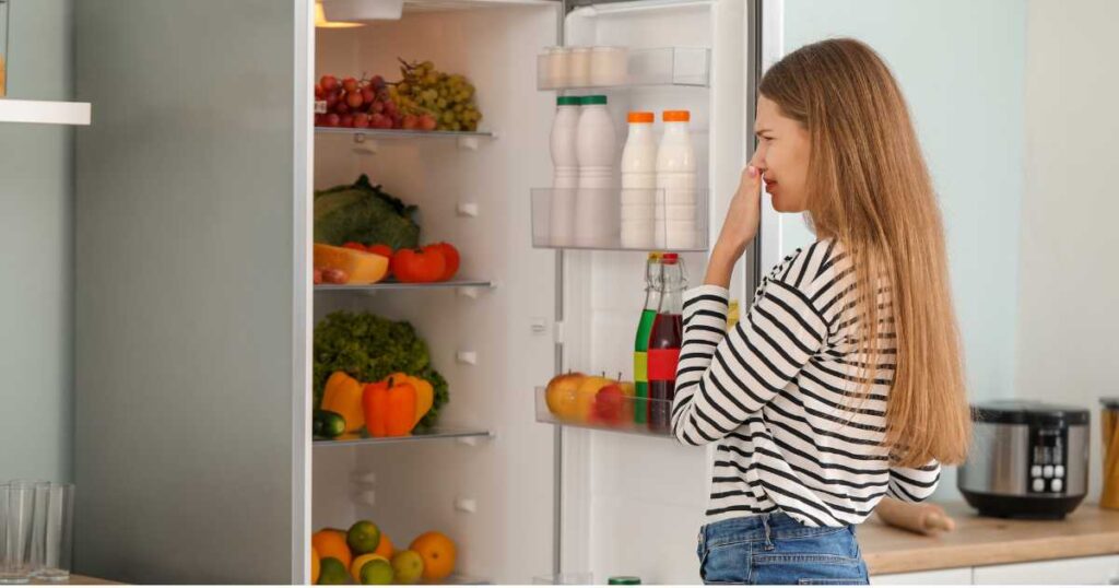 DIY fridge deodorizer