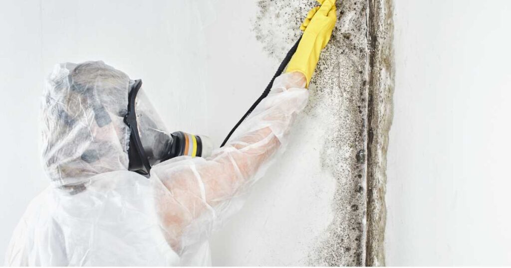 natural odor removal