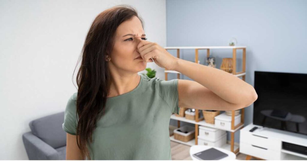 recurring odors causes